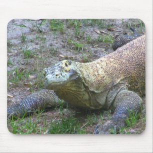 Mousepad Dragão de Komodo