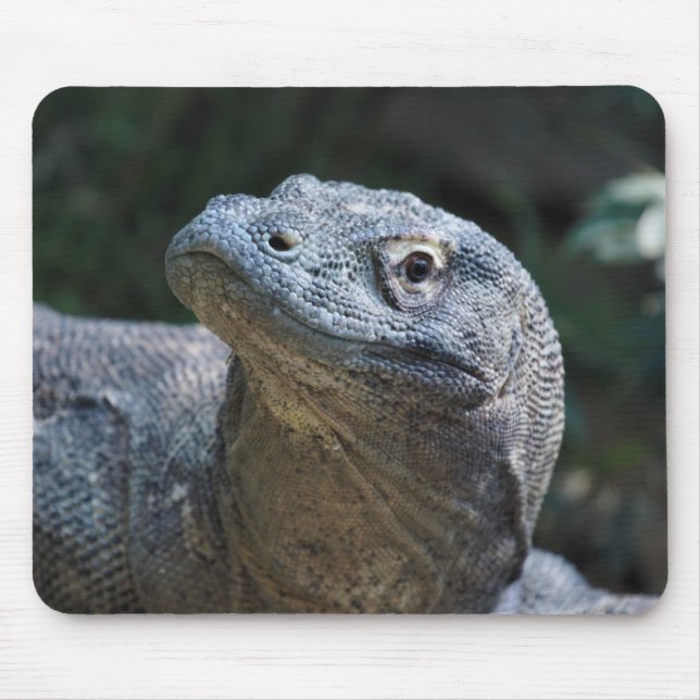 Mousepad Dragão de Komodo (Frente)