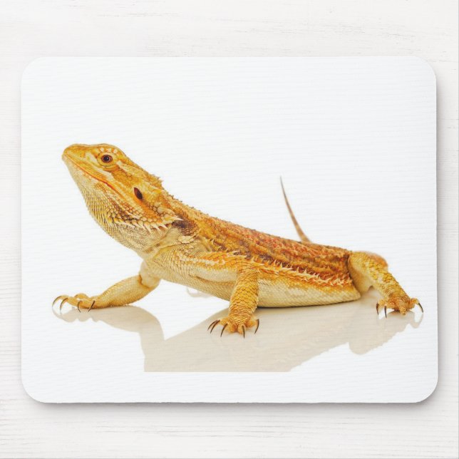 Mousepad Dragão farpado (Frente)