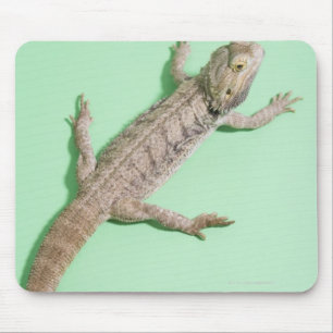 Mousepad Dragão farpado