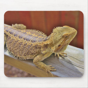 Mousepad Dragão farpado de descanso 2