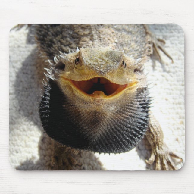Mousepad Dragão farpado oriental - barbata de Pogona (Frente)