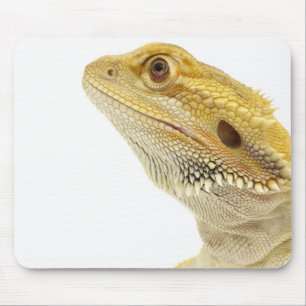 Mousepad Dragão farpado (Pogona Vitticeps)