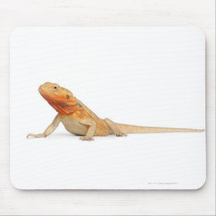 Mousepad Dragão farpado scaleless de SilkBacks - Pogona
