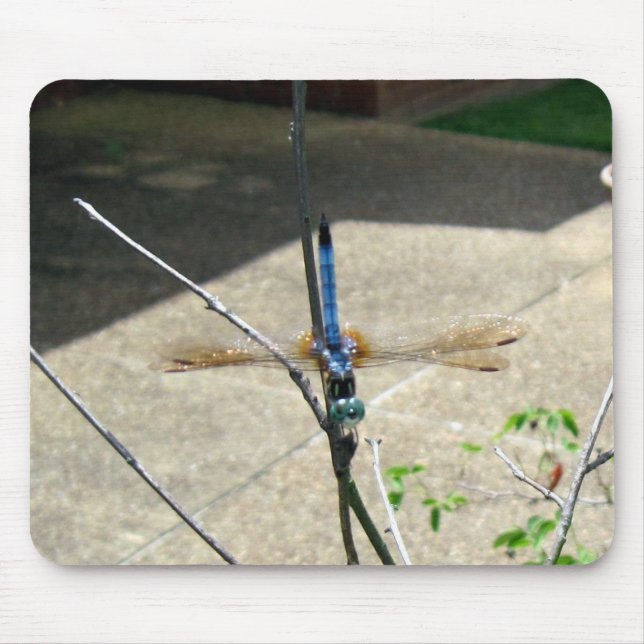 Mousepad Dragonfly (Frente)