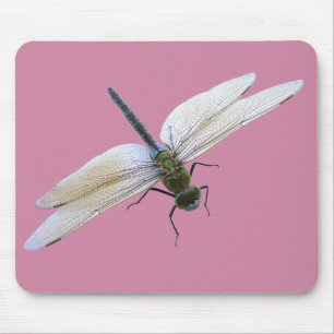 Mousepad Dragonfly
