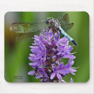 Mousepad Dragonfly 2