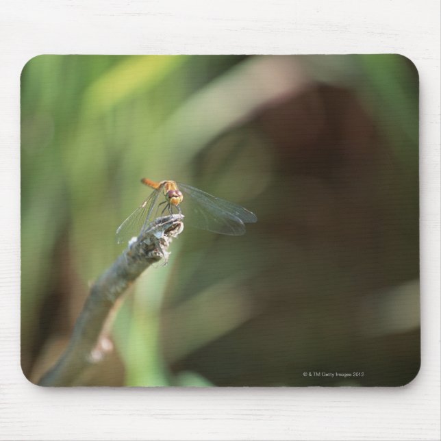 Mousepad Dragonfly 5 (Frente)