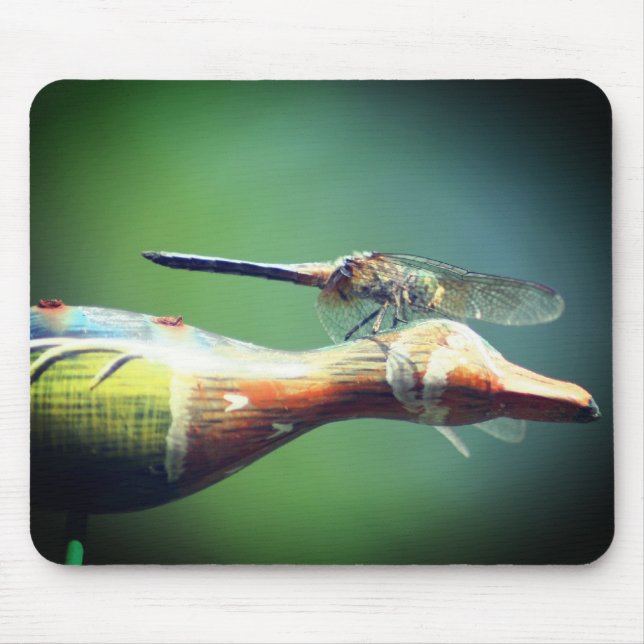 Mousepad Dragonfly Co Pilot Natureza (Frente)