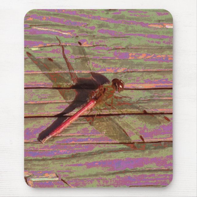 Mousepad Dragonfly Colorful (Frente)
