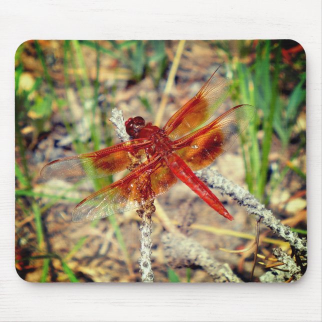 Mousepad Dragonfly Laranja De Mouse (Frente)