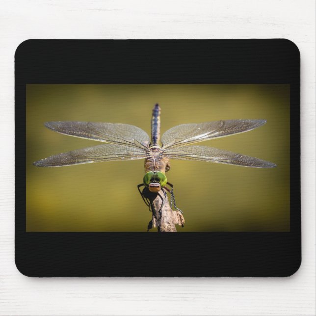 Mousepad Dragonfly legal (Frente)