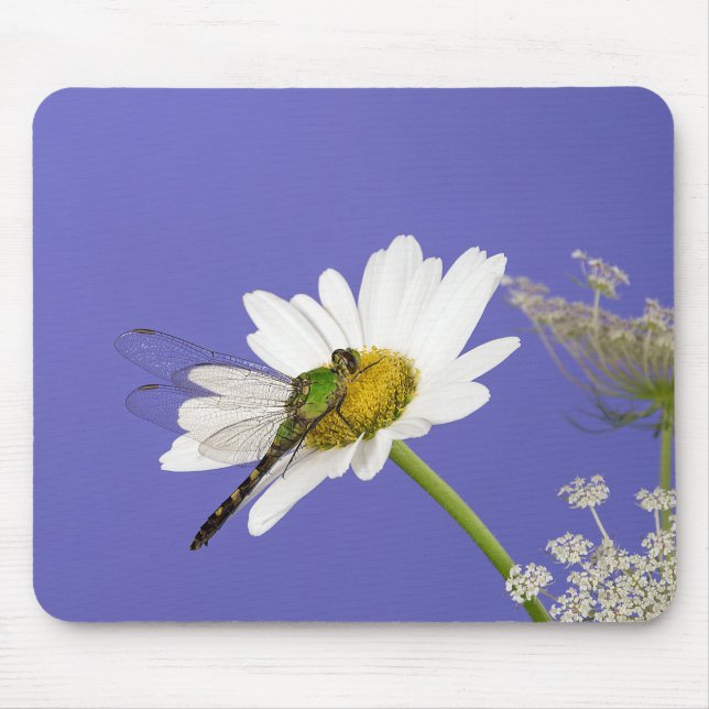 Mousepad Dragonfly na margarida branca (Frente)