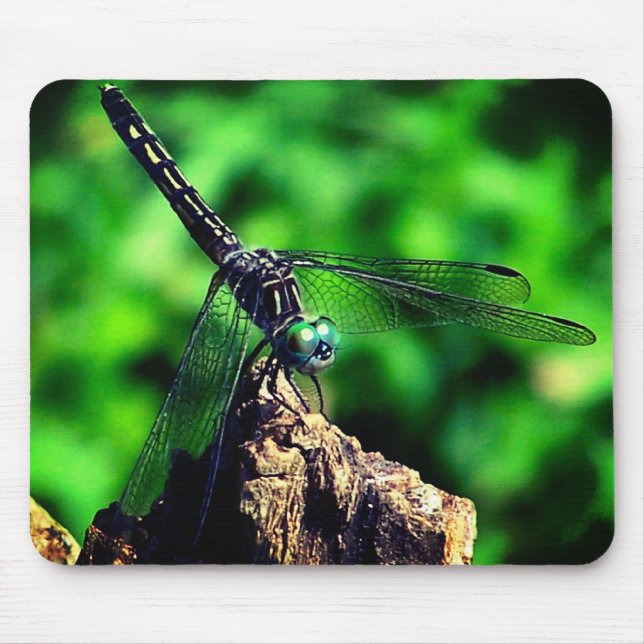 Mousepad Dragonfly Nature (Frente)