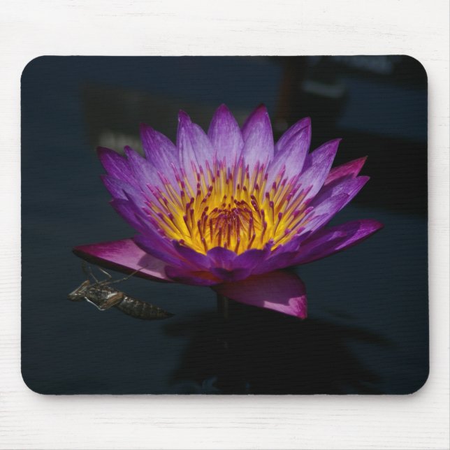 Mousepad Dragonfly Nymph Purple Lotus (Frente)