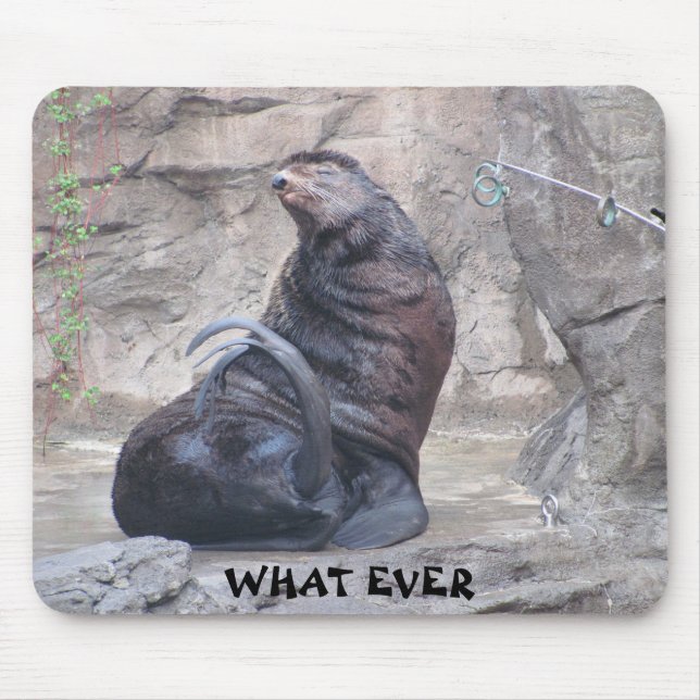 Mousepad Drama Seal diz "o que sempre" (Frente)