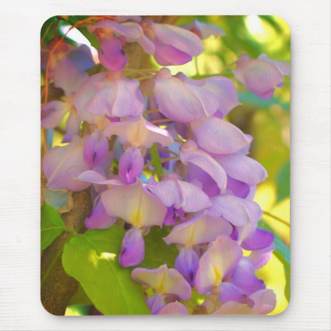Mousepad Dreamy Wisteria Flower (Frente)