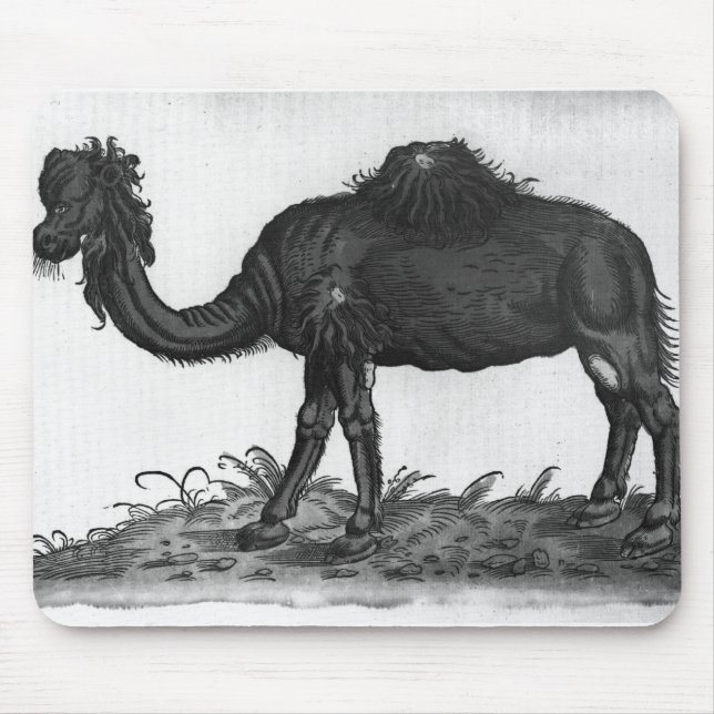 Mousepad Dromedary, 'de Historial Animalium (Frente)