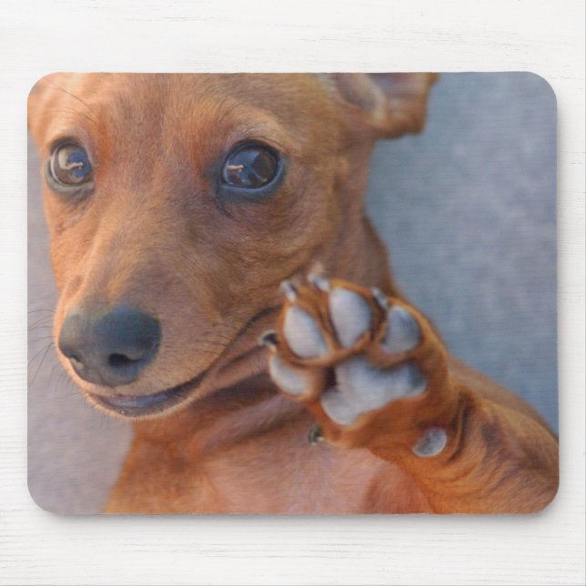 MOUSEPAD DSC_1359 (Frente)