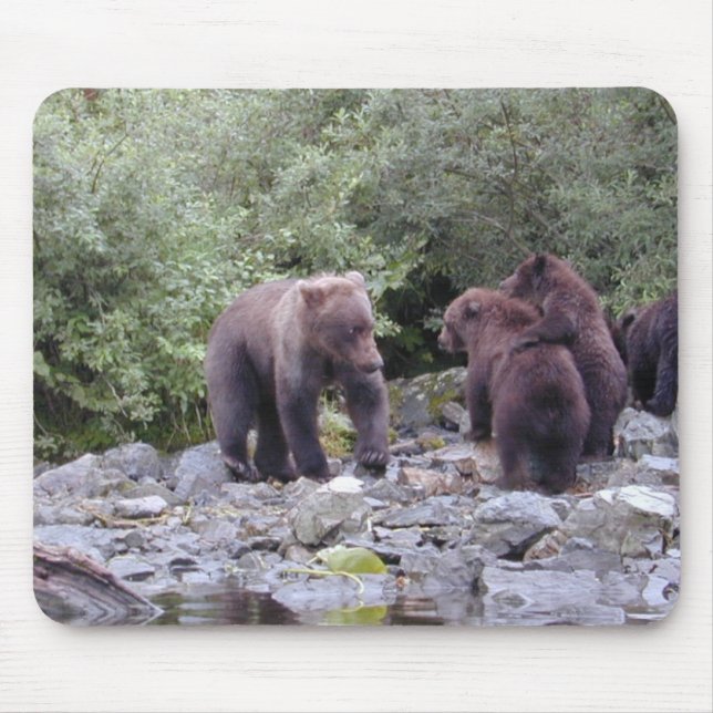 MOUSEPAD DSCN0088 (Frente)