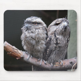 Mousepad Duas Aves de Frogmouth Tawny