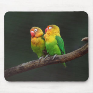 Mousepad Duas aves-pomba em uma ramificação