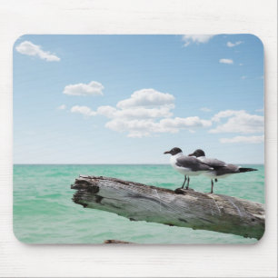 Mousepad Duas gaivotas que sentam-se em uma árvore