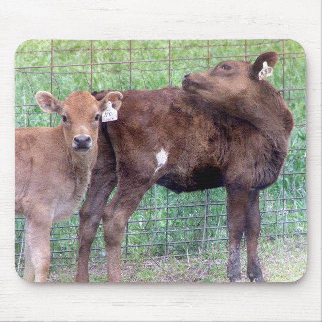 Mousepad Duas Pequenas Heifers (Frente)
