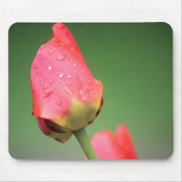 Mousepad Duas Tulipas Cor-de-Rosa Mouse