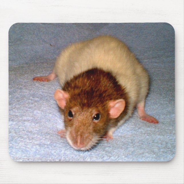 Mousepad Dumbo Rat Bonito (Frente)