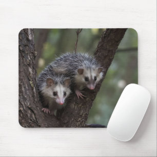 Mousepad Duplo problema na cobertura: Twin Possum