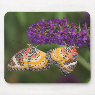 Mousepad Duto de Cerrado
