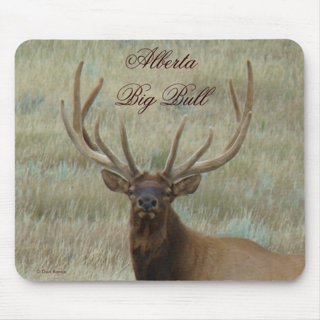 Mousepad E10 Bull Elk em Velvet Head (Frente)