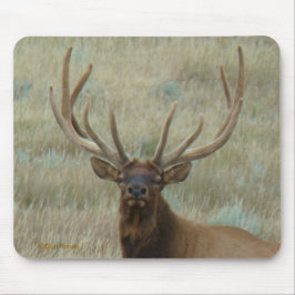 Mousepad E10 Bull Elk em Velvet Head Shot