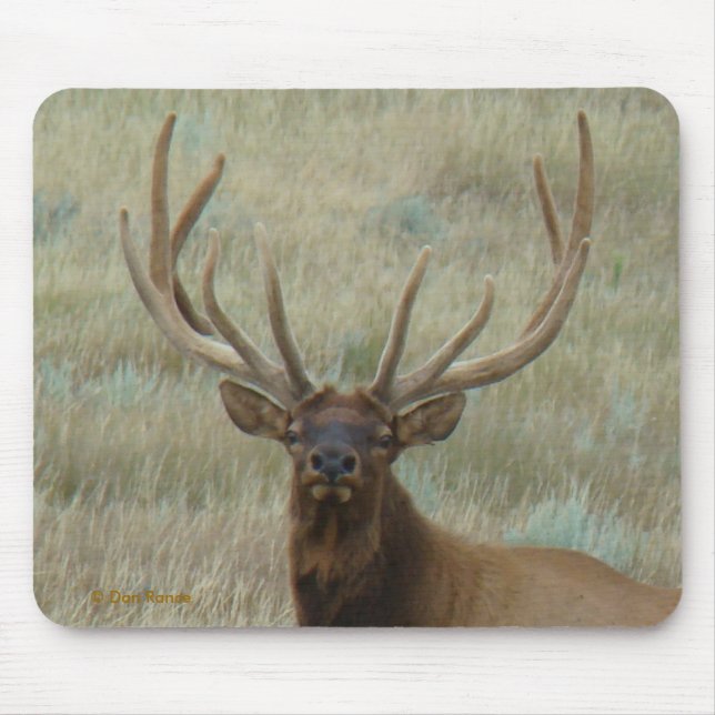 Mousepad E10 Bull Elk em Velvet Head Shot (Frente)