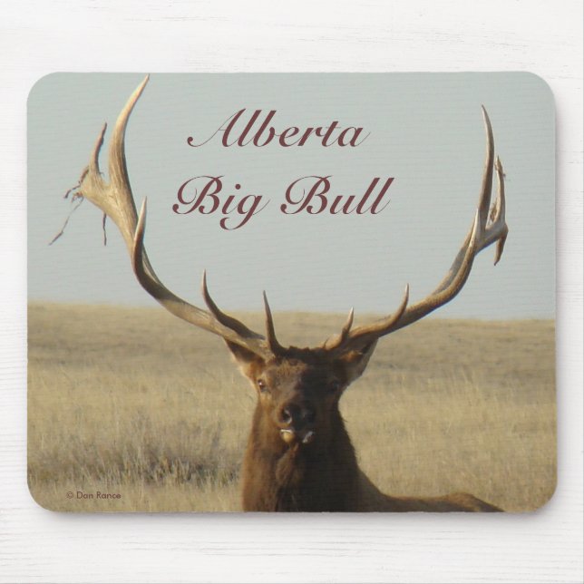 Mousepad E13 Alce Touro Grama nos Chifres (Frente)