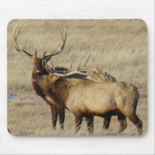Mousepad E24 Alce Macho