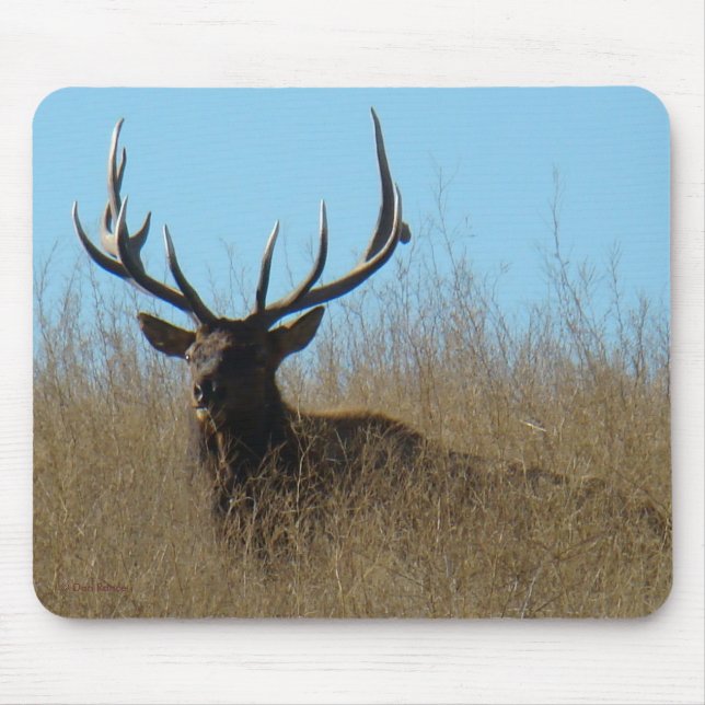 Mousepad E26 Alce Macho Deitado nas Ervas Daninhas (Frente)