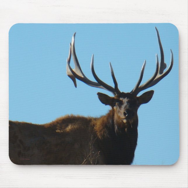Mousepad E27 Alce Macho Elineado no Céu (Frente)