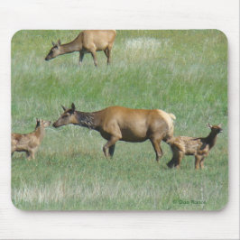 Mousepad E3 Vaca Alce e Jovem