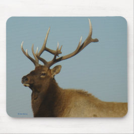Mousepad E42 Alce Macho