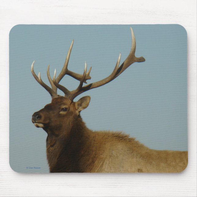 Mousepad E42 Alce Macho (Frente)