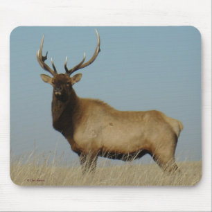 Mousepad E43 Alce Touro