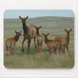 Mousepad E44 Alce Fêmea e Filhotes