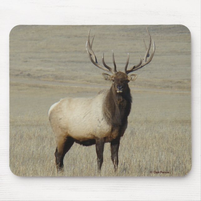 Mousepad E46 Alce Touro Grande Touro (Frente)