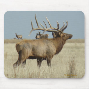 Mousepad E4 Touro Elk Herd Master