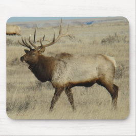 Mousepad E55 Alce Touro Grande Touro