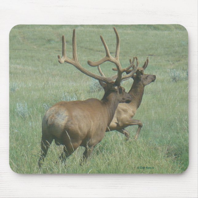 Mousepad E56 Touro Elk em Velvet (Frente)