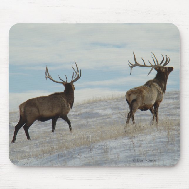 Mousepad E57 Touro Elk Lucky 13 Touro (Frente)