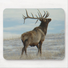 Mousepad E58 Alce Macho Lucky 13 Touro